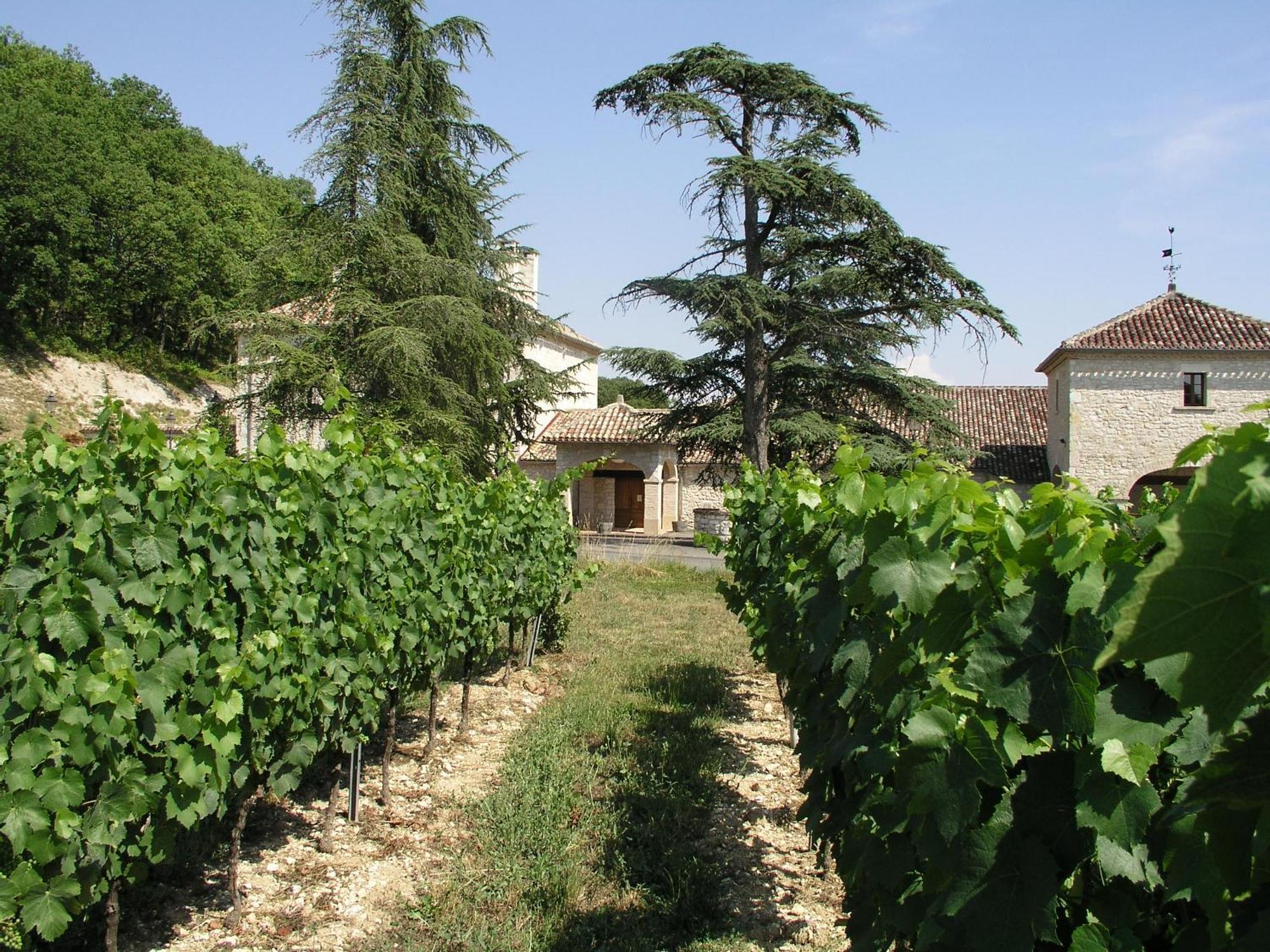 Chateau Lecusse - La Grande Roche - Hotel, Spa, Boutique & Restaurant Broze Exterior foto